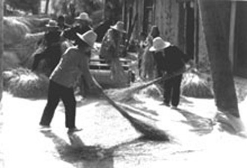 70年代的生产队场院-昌邑风光